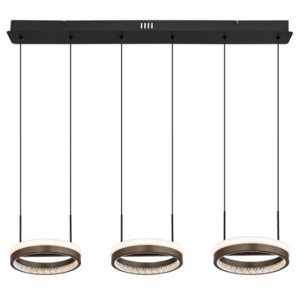 Globo - Lustre LED suspenso em cabo LED/40W/230V 3000/4000/6000K