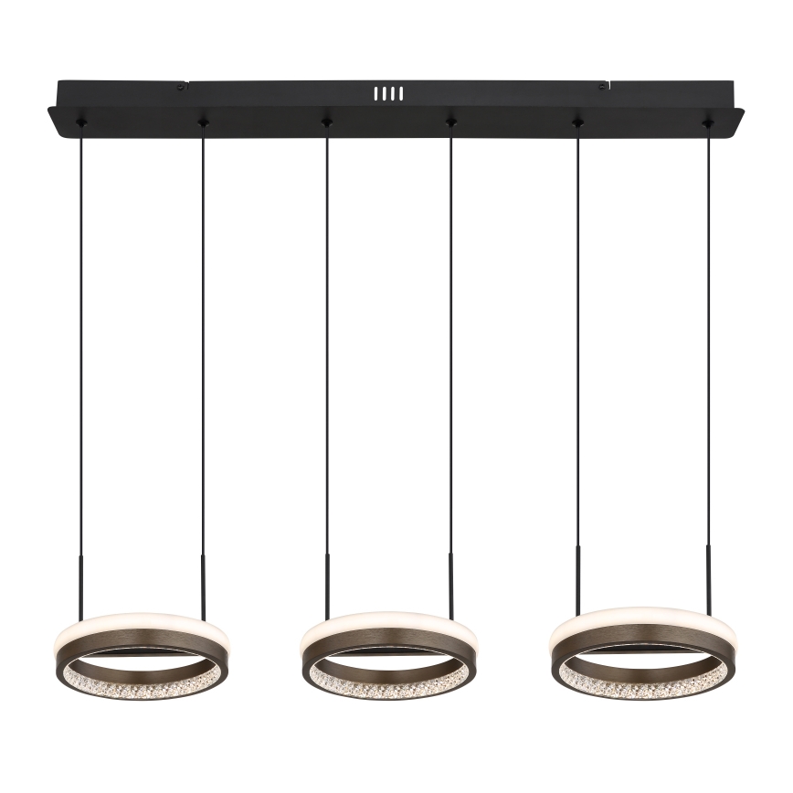 Globo - Lustre LED suspenso em cabo LED/40W/230V 3000/4000/6000K