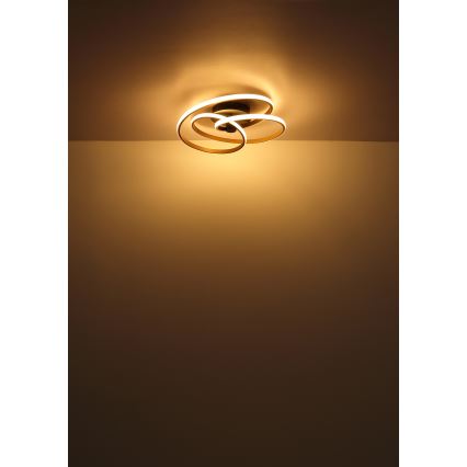 Globo - Candeeiro  integrado LED LED/40W/230V 3000K dourado/preto