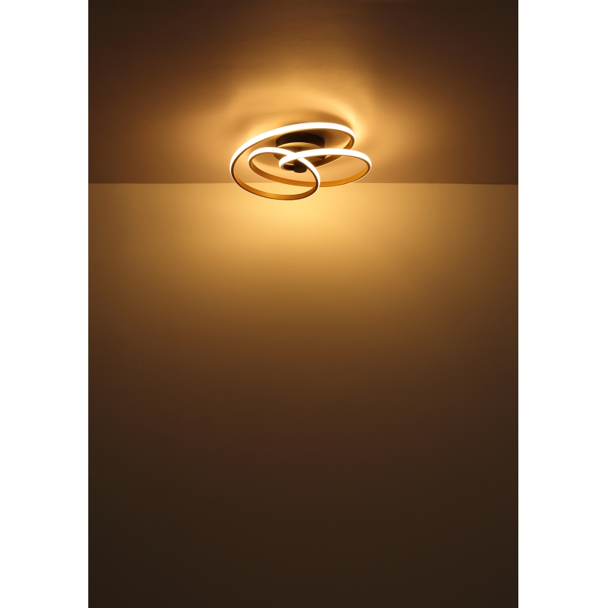 Globo - Candeeiro  integrado LED LED/40W/230V 3000K dourado/preto