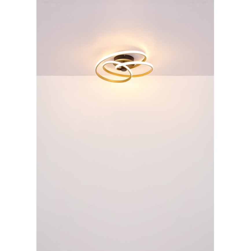 Globo - Candeeiro  integrado LED LED/40W/230V 3000K dourado/preto