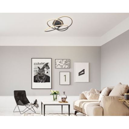 Globo - LED Luz anexada LED/30W/230V