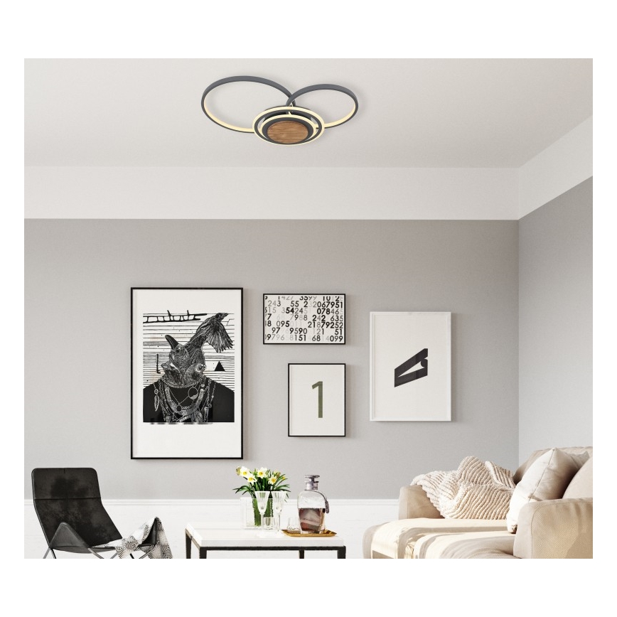 Globo - Iluminação de teto LED LED/40W/230V