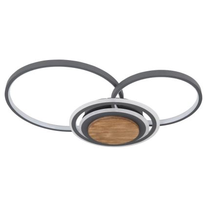 Globo - Iluminação de teto LED LED/40W/230V