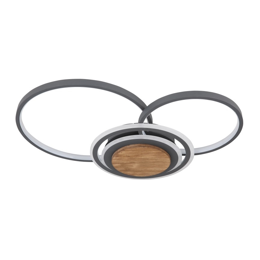 Globo - Iluminação de teto LED LED/40W/230V