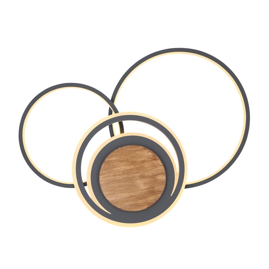 Globo - Iluminação de teto LED LED/40W/230V