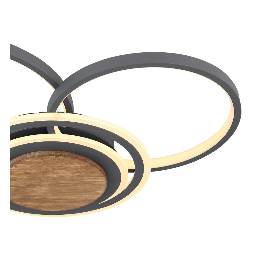 Globo - Iluminação de teto LED LED/40W/230V