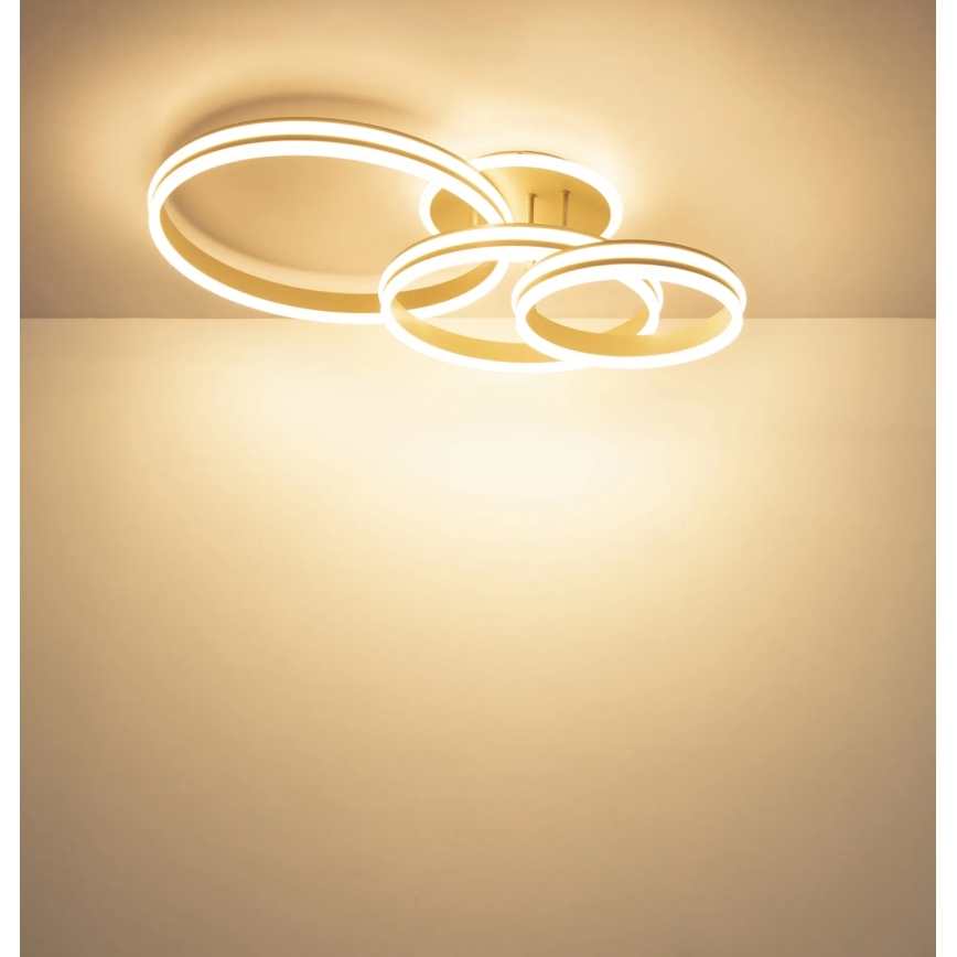Globo - Candeeiro de tecto LED dimerizável LED/72W/230V 3000K 79,5x50 cm