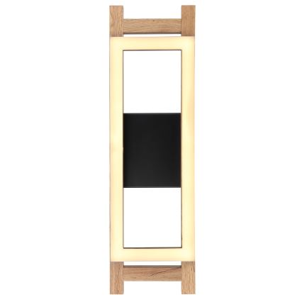 Globo - Iluminação de parede LED LED/10W/230V