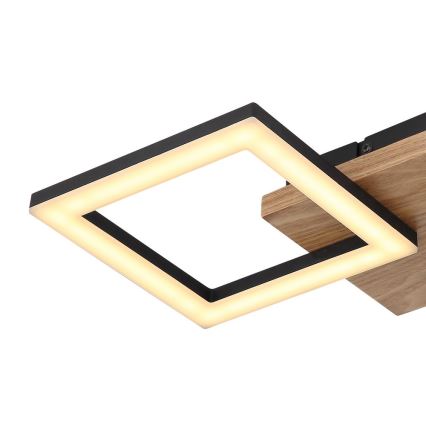 Globo - Candelabro integrado LED KERRY LED/18W/230V