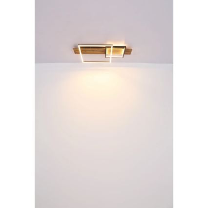 Globo 67289D1 - Candeeiro de tecto LED VANNI LED/24W/230V 40x75 cm castanho/preto