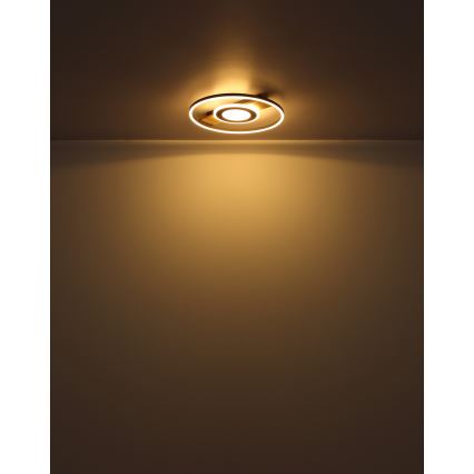 Globo - Iluminação de teto LED LED/24W/230V