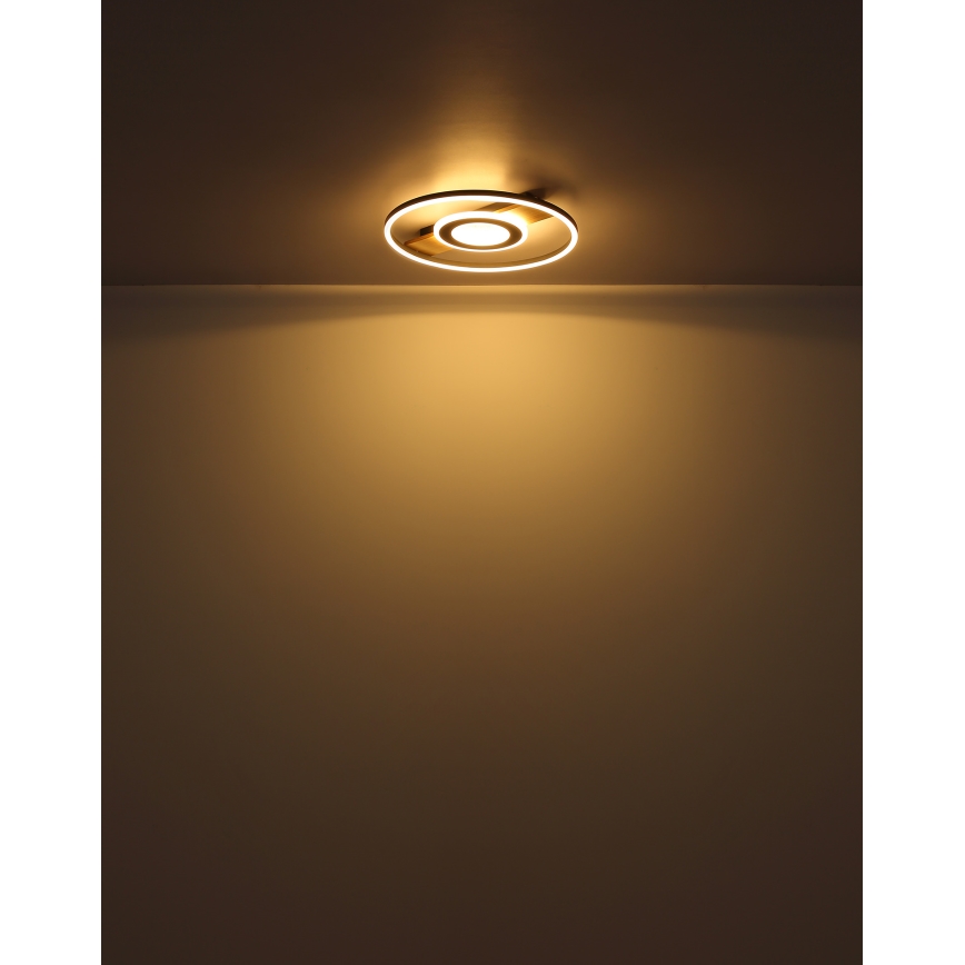 Globo - Iluminação de teto LED LED/24W/230V