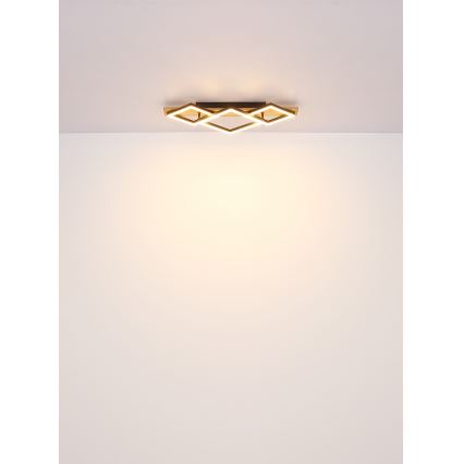 Globo - Iluminação de teto LED LED/24W/230V