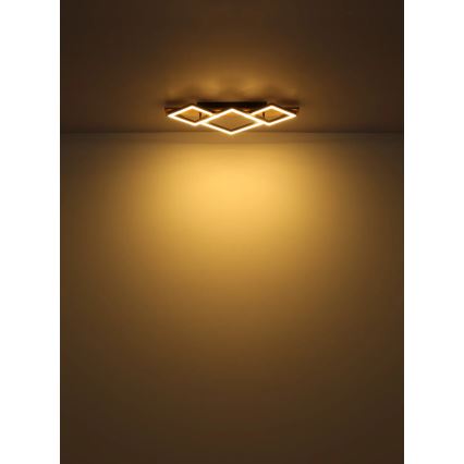 Globo - Iluminação de teto LED LED/24W/230V