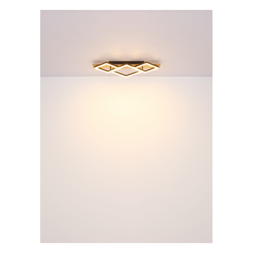Globo - Plafon LED LED/24W/230V + LED/8W 3000K 31x61cm