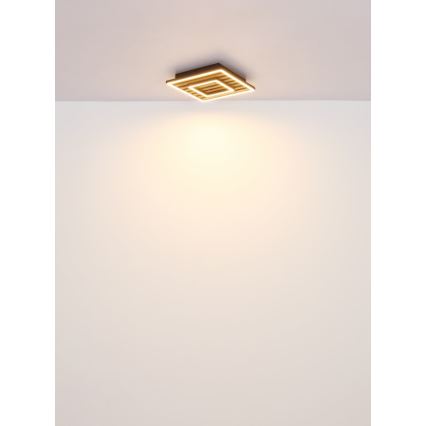 Globo - Luminária de Teto LED/18W/230V 3000K 30x30 cm