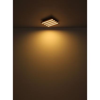 Globo - Candeeiro de teto LED/30W/230V 3000K 45x45 cm