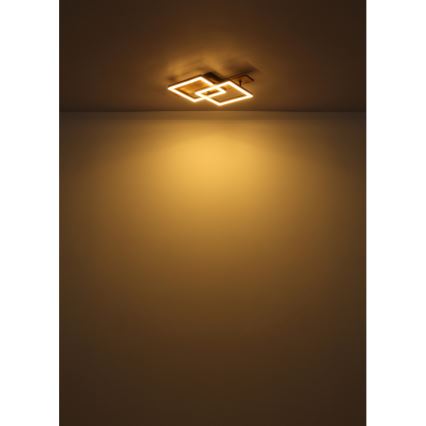 Globo - Candeeiro de tecto LED/16W/230V 3000K 33x44 cm