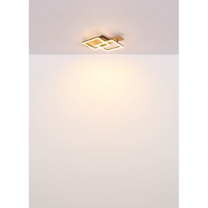 Globo - Candeeiro de tecto LED/16W/230V 3000K 33x44 cm
