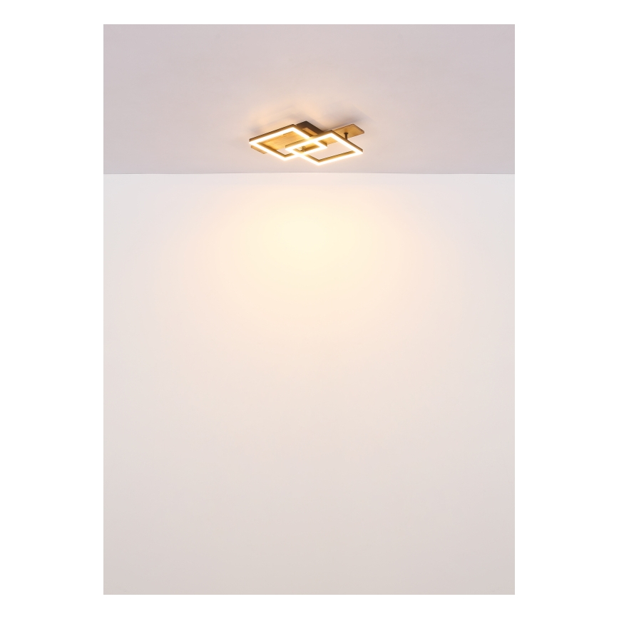 Globo - Candeeiro de tecto LED/16W/230V 3000K 33x44 cm