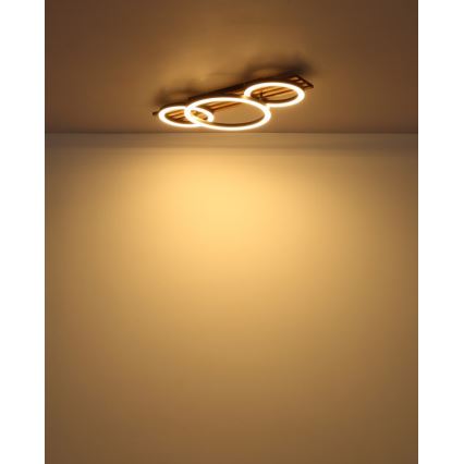 Globo - Iluminação de teto LED LED/24W/230V 3000K 30x62 cm