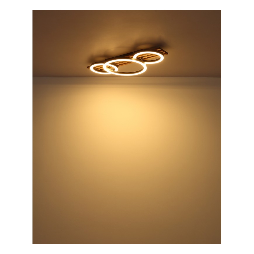 Globo - Iluminação de teto LED LED/24W/230V 3000K 30x62 cm