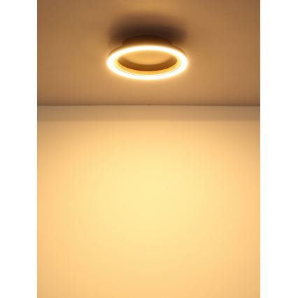 Globo - Candeeiro de teto LED/12W/230V 3000K Ø 20,5 cm