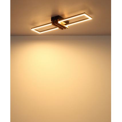 Globo - Candeeiro de tecto LED/20W/230V 3000K 60x16,8 cm