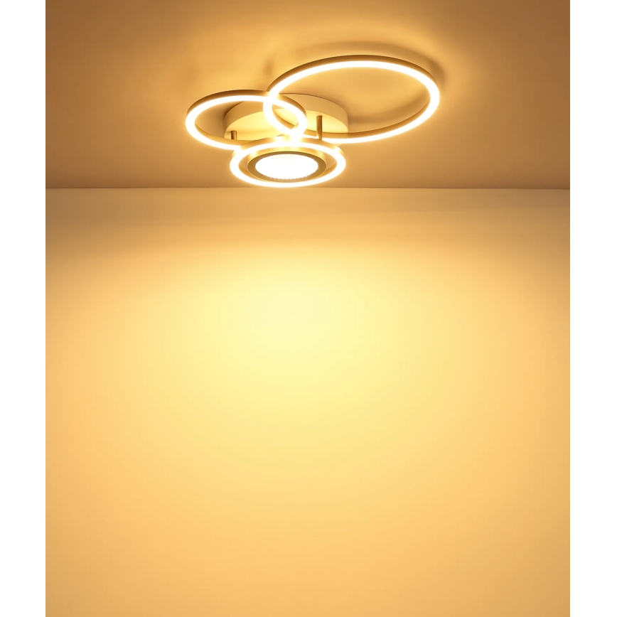 Globo - Luminária de teto LED/40W/230V 3000K 49x39 cm