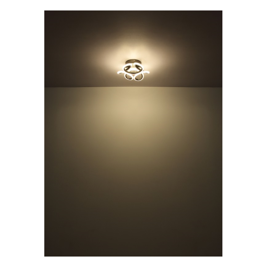 Globo - Plafon LED LED/24W/230V 2700/4000/6000K diâmetro 26 cm preto