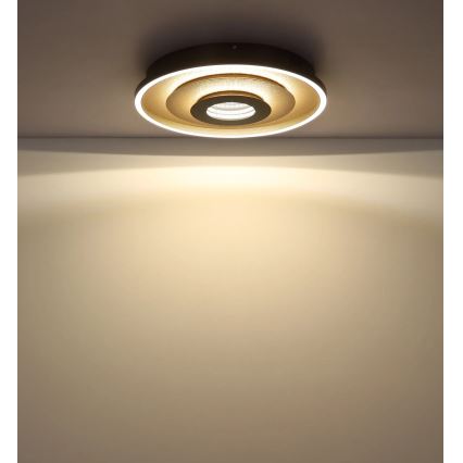 Globo - Luminária de teto LED/30W/230V 3000/4000/6000K diâmetro 40 cm
