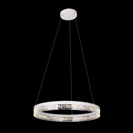 Globo - Candelabro num fio LED 1xLED/36W/230V