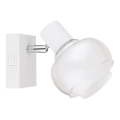 Globo - Aplique de parede tipo spot 1xE14/40W/230V branco