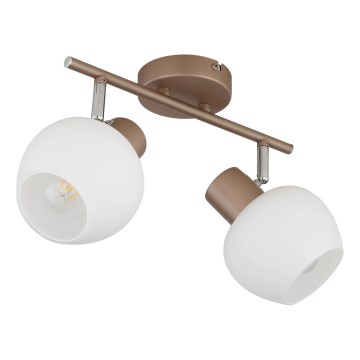 Globo - Candeeiro de focos 2xE27/40W/230V
