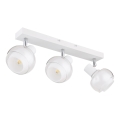 Globo - Candeeiro de focos 3xE14/40W/230V branco