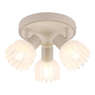 Globo - Candeeiro de focos 3xE14/40W/230V