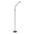 Globo - Candeeiro de pé tátil regulável LED/6,5W/230V 2700/3350/4000K preto