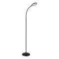 Globo - Candeeiro de pé tátil regulável LED/8W/230V 2700K/4000K/6500K preto
