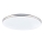 Globo - Candeeiro de tecto LED/24W/230V