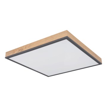 Globo - Candeeiro de tecto LED dimerizável LED/24W/230V 3000-6500K 45x45 cm
