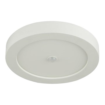 Globo - Candeeiro de tecto LED para exterior com sensor LED/18W/230V IP44