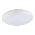 Globo - Candeeiro de teto LED para exterior/24W/230V IP54