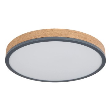 Globo - Candeeiro de teto LED regulável LED/24W/230V 3000-6500K Ø 45 cm