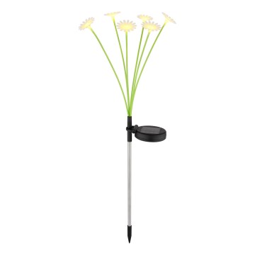Globo - Candeeiro solar LED 6xLED/3V IP44 600 mAh em forma de flor
