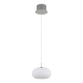 Globo - Candeeiro suspenso LED LED/6W/230V branco