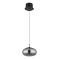 Globo - Candeeiro suspenso LED LED/6W/230V preto