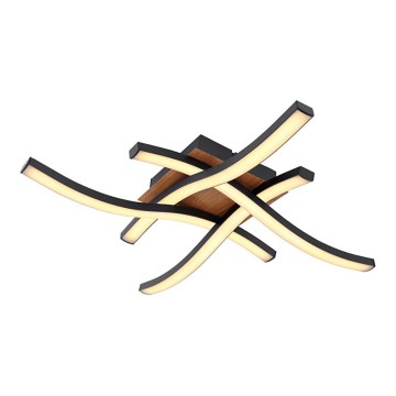 Globo - Candelabro montado à superfície LED 4xLED/5W/230V