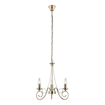 Globo - Candelabro numa corrente 3xE14/40W/230V