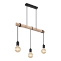 Globo - Candelabro suspenso 3xE27/60W/230V